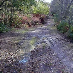 DSCN6431