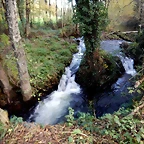 DSCN0533