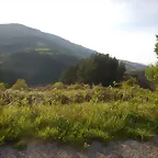DSCN2128