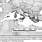 dendroides