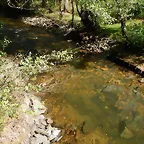 DSCN3231