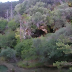 P1010137