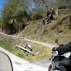 DSCN3956