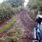 DSCN5374