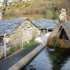 DSCN0462