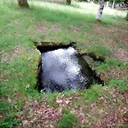 DSCN4302