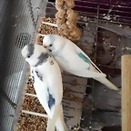 20190507_214326