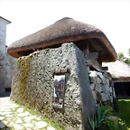 DSCN8250