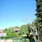 DSCN6746