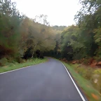 DSCN3783