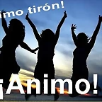 animo