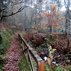 DSCN1838