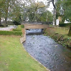 DSCN6222