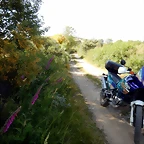 DSCN9173