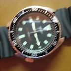 Seiko diver 004