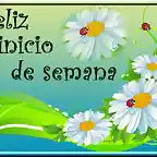 Feliz inicio de semana