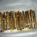 DSCN4477