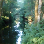 P1010163