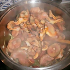 PB130031