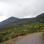 DSCN6374