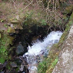 DSCN8163