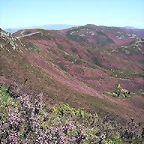 DSCN5955'5