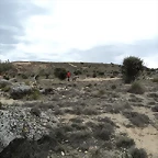 DSC00019
