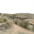 DSC00024