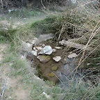 DSC00026
