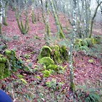 DSCN2090