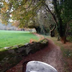 DSCN0738