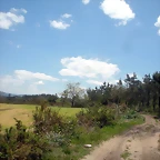 DSCN5380