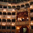 Fenice 2