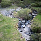 DSCN5131