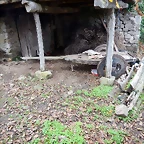 DSCN9976