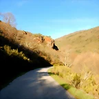 DSCN4049