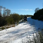 DSCN6808