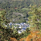 54-IMG_3602