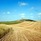 DSCN6812