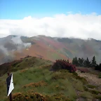 DSCN6347