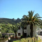 DSCN6729