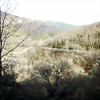 DSCN3259