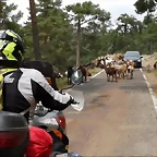 201218705_3989956561124064_6429138621685525584_n