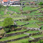44-IMG_5740