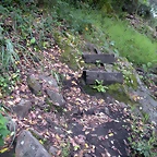 DSCN2754