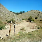 DSCN8375