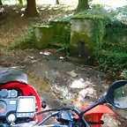 DSCN6321