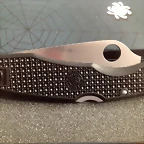 spy81
