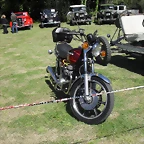 SDC13590