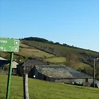 DSCN8573